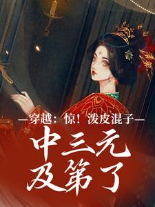 穿越：惊！泼皮混子中三元及第了林姝多番外+结局（凤鸣梧桐）剧情介绍_穿越：惊！泼皮混子中三元及第了精彩试读